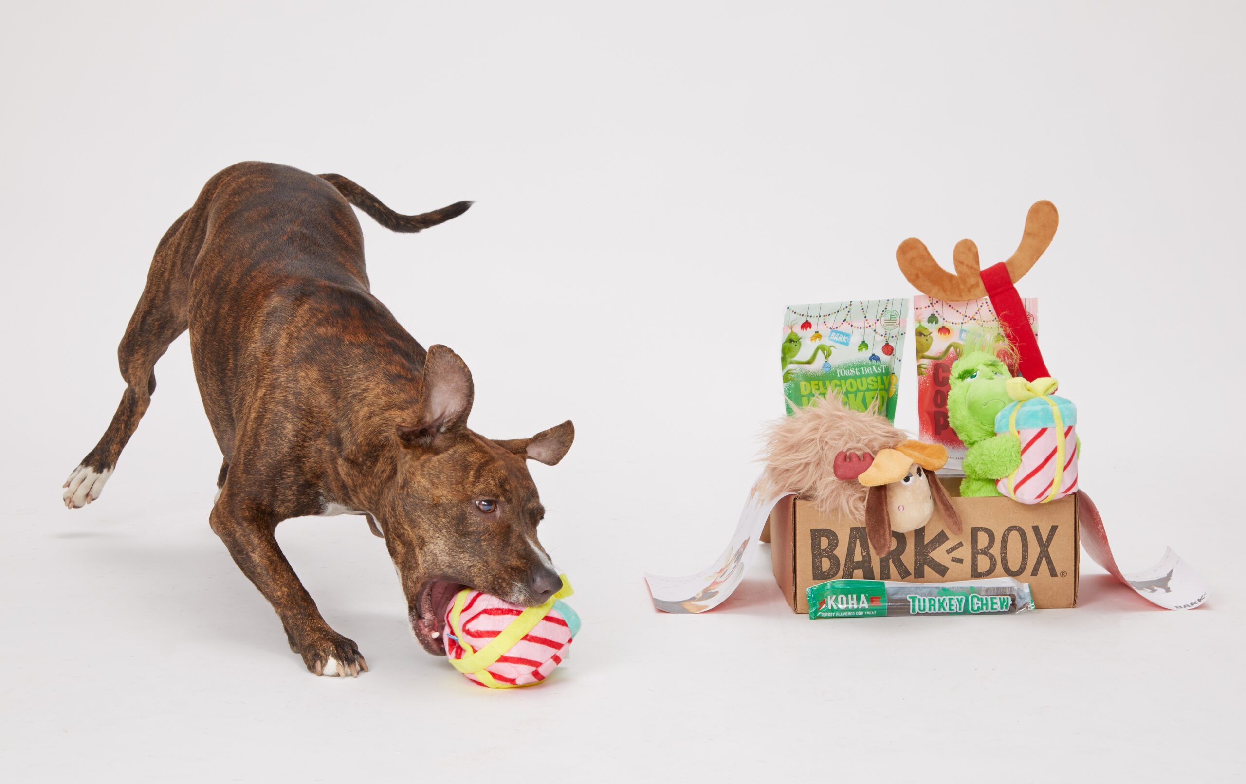 The Holiday Toy Box Even The Grinchiest Pup Can’t Resist