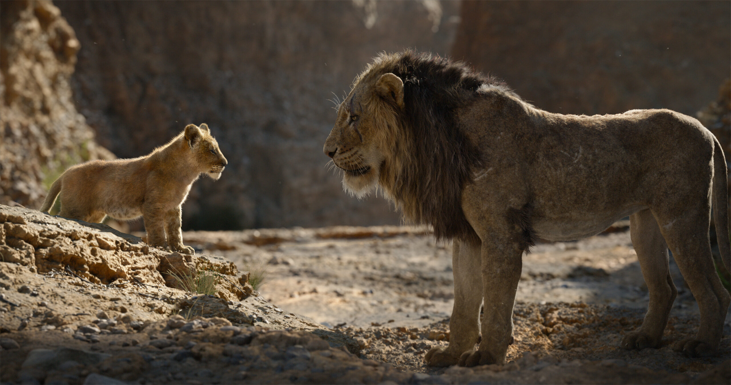 Disney Doesn't Care About Your Childhood: “The Lion King” Is Just a CGI Flex