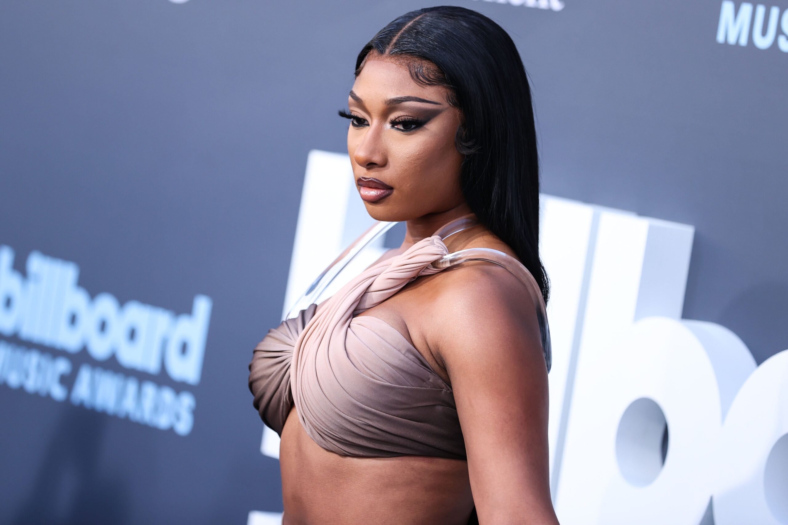 No More Music From Megan Thee Stallion…For Now