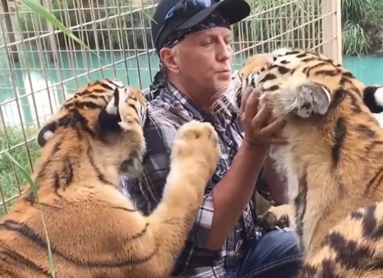 Tiger King Zoo Reopens for Dangerous Stupidity Once More