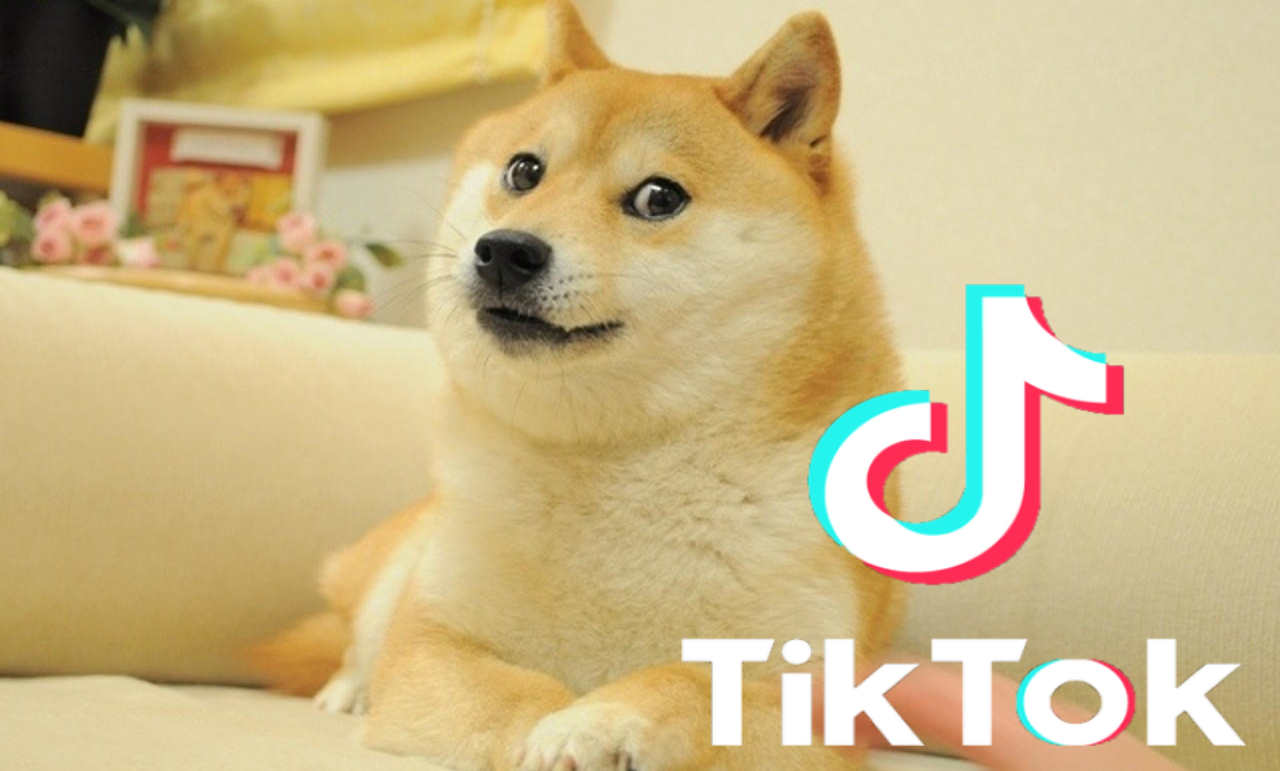 TikTok Challenge Leads to Massive Spike in DogeCoin Value (an Event Designed to Melt Boomers’ Brains)