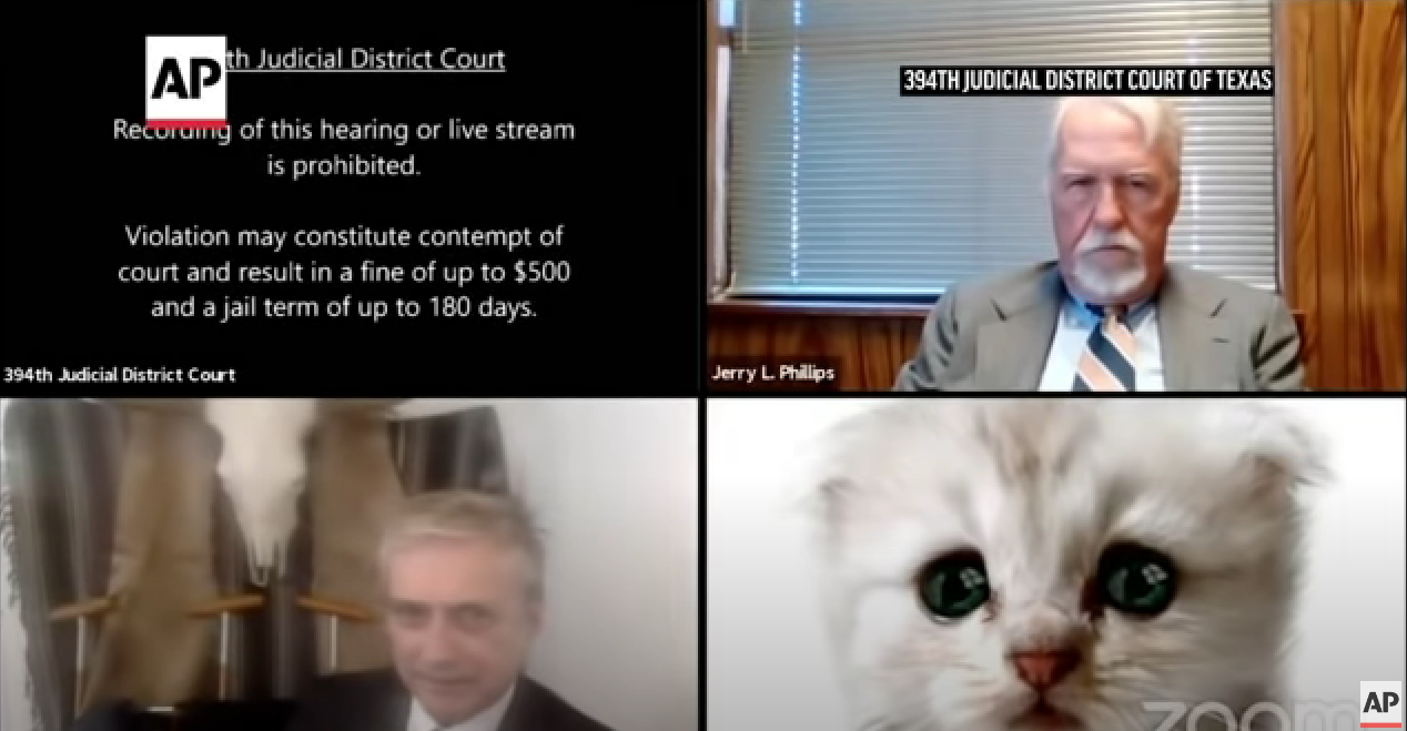 The Zoom Cat Lawyer Just Got Milkshake Ducked, Hard