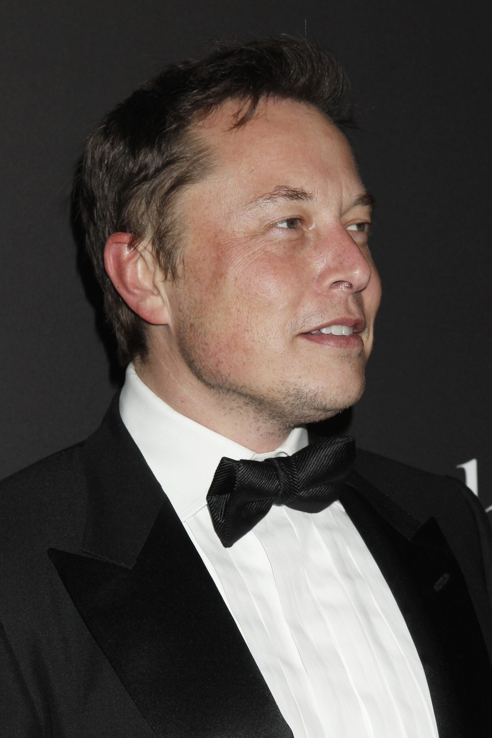 "Technoking" Elon Musk Is the Perfect Refutation of Meritocracy