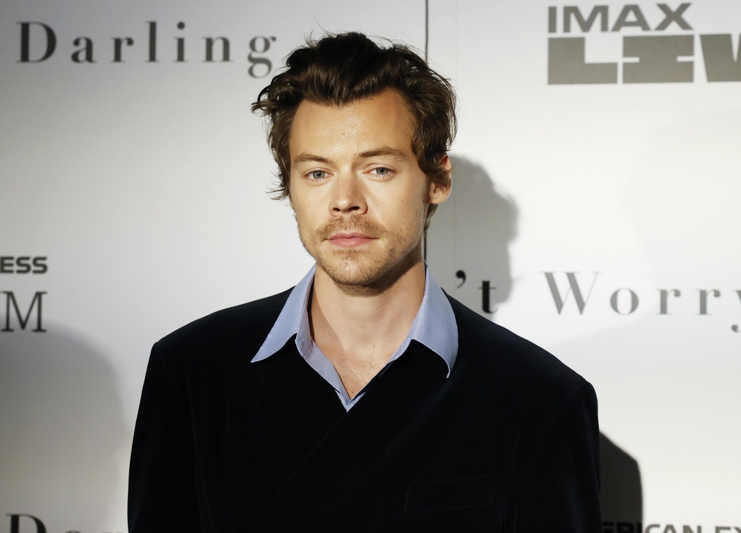 Old Harry Styles Pictures Resurface … and I’m Obsessed with How Un-Problematic They Are