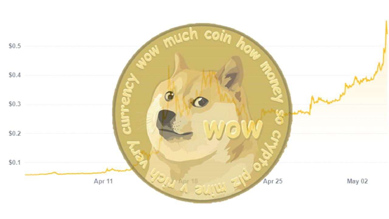 I Was Wrong About Dogecoin — And My Brain Is Melting