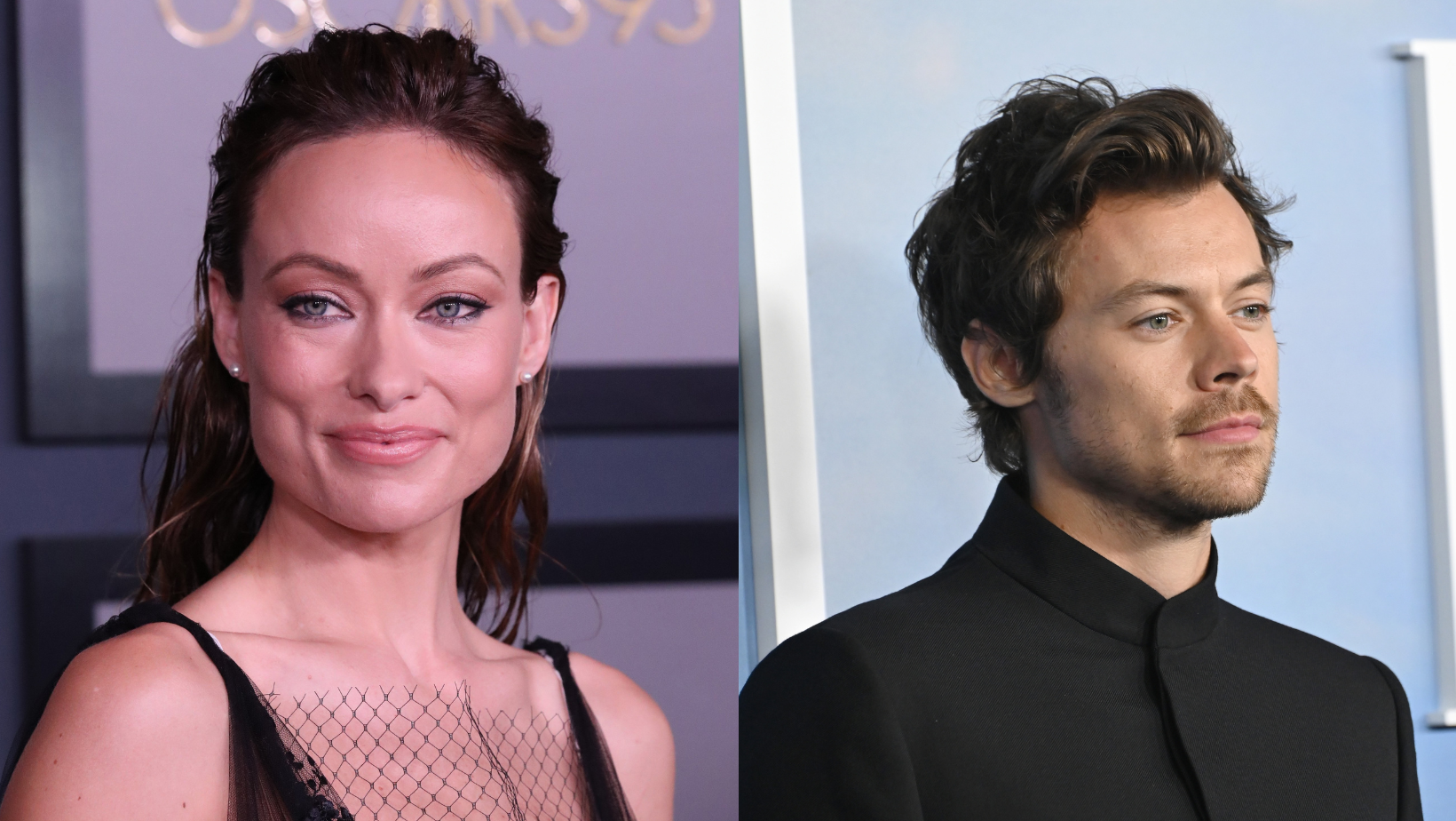 On the Moodboard: Harry Styles and Olivia Wilde