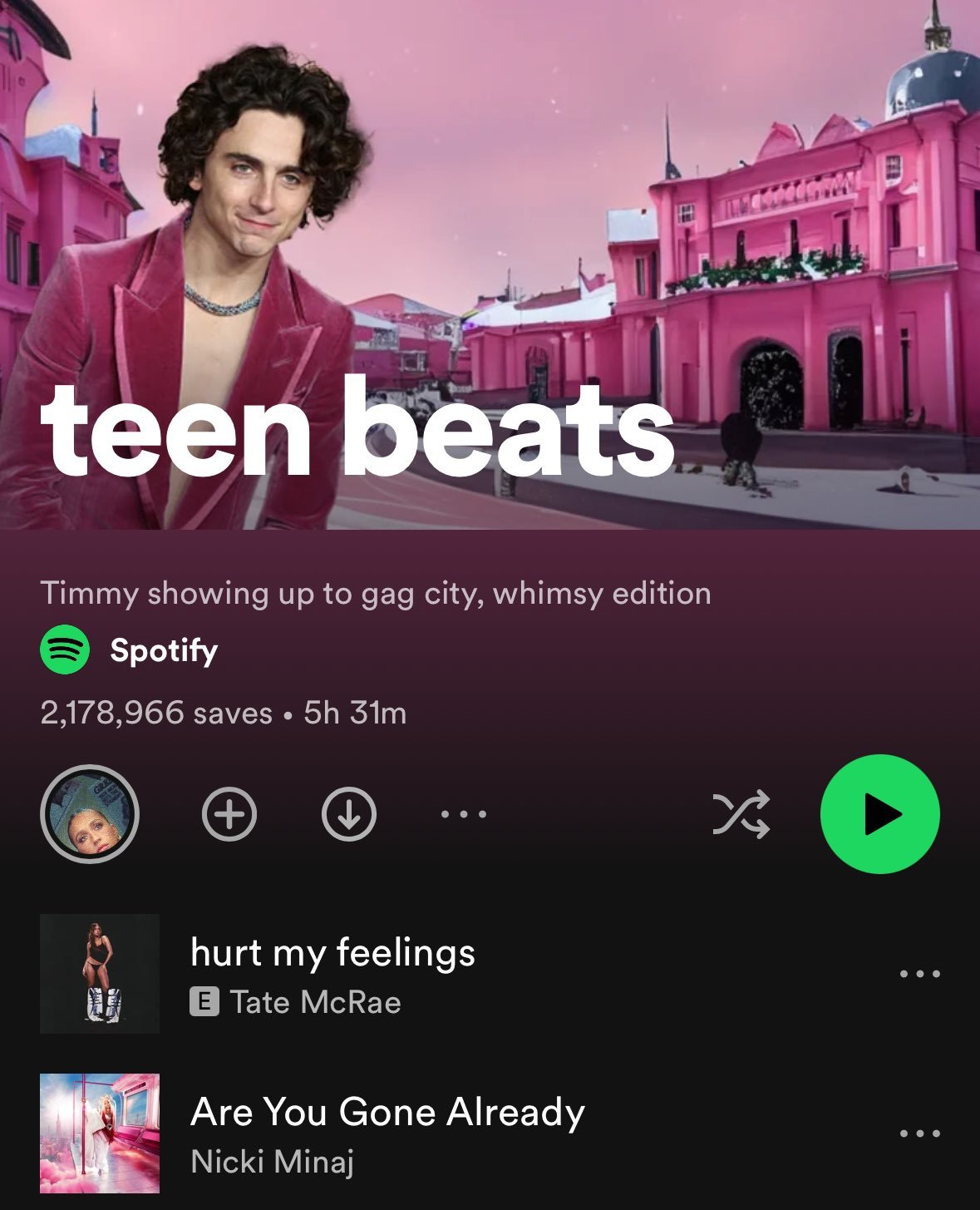 Spotify (& Timothee) Invite You To Gag City