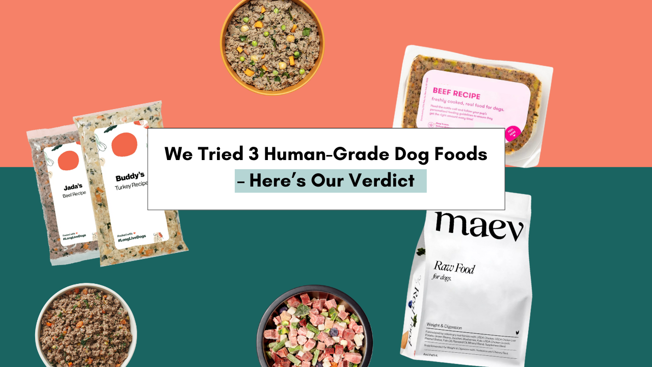 We Reviewed The Best Human-Grade Dog Food Brands Out There: Ollie, The Farmer’s Dog, And Maev