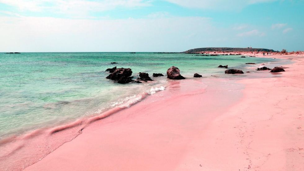 pink sand beach