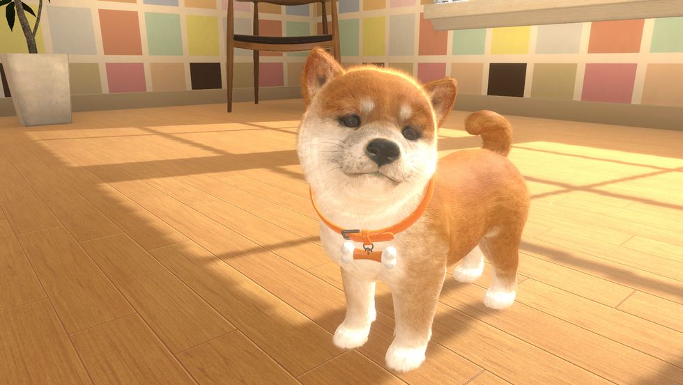 Nintendogs