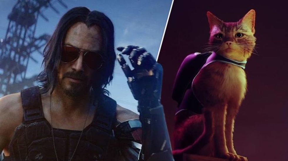 Cyberpunk 2077 Cat