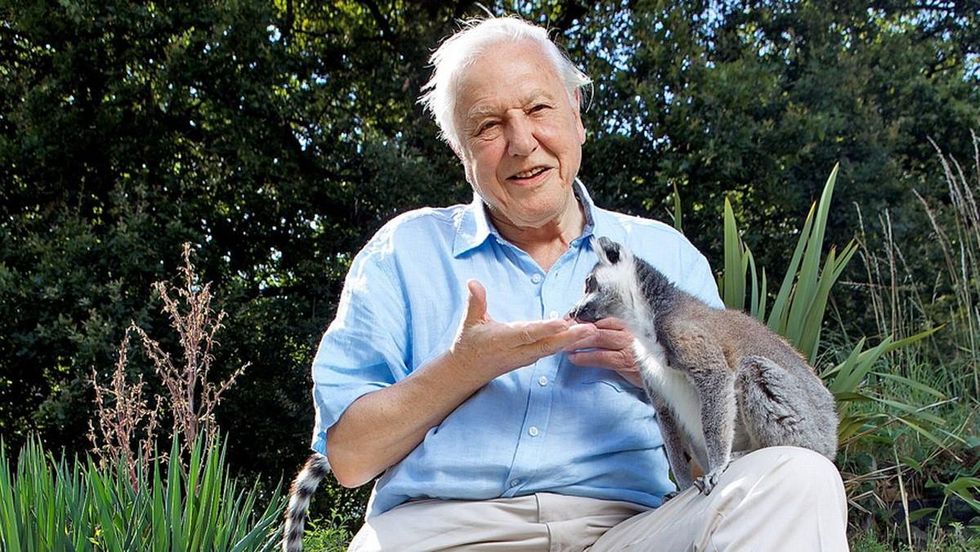 David Attenborough with a lemur