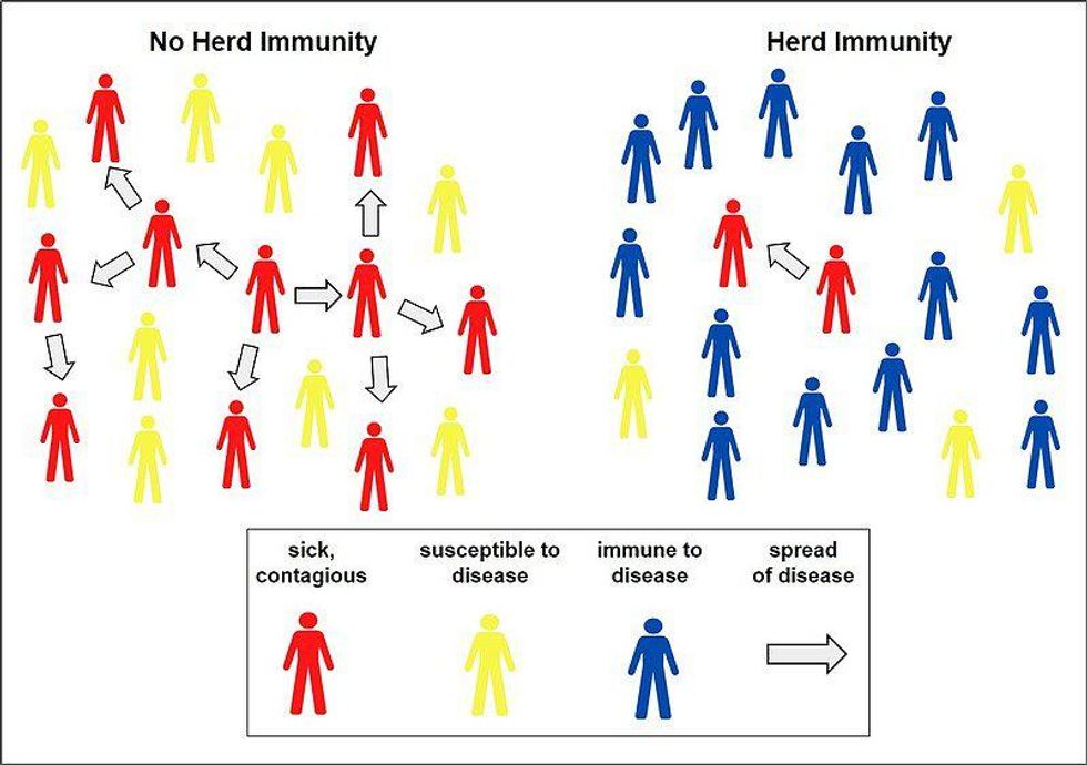 Herd immunity