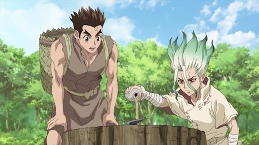 Dr. Stone